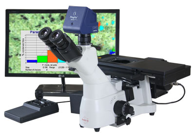 Motorized Microscope RMM-3