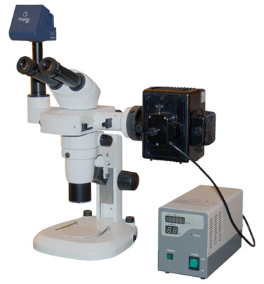 Advanced Stereo Zoom Microscope with Fluorescent Attachment