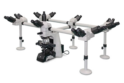 Deca Headed Microscope RXLr-5 Series