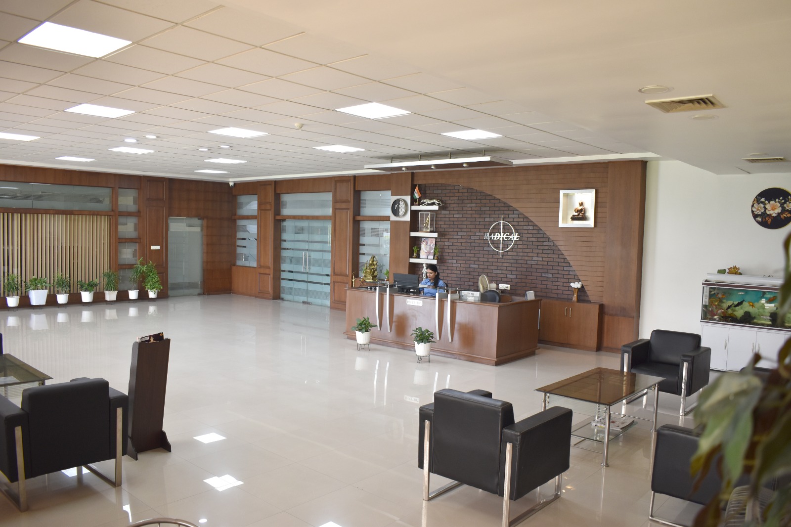 Company Profile