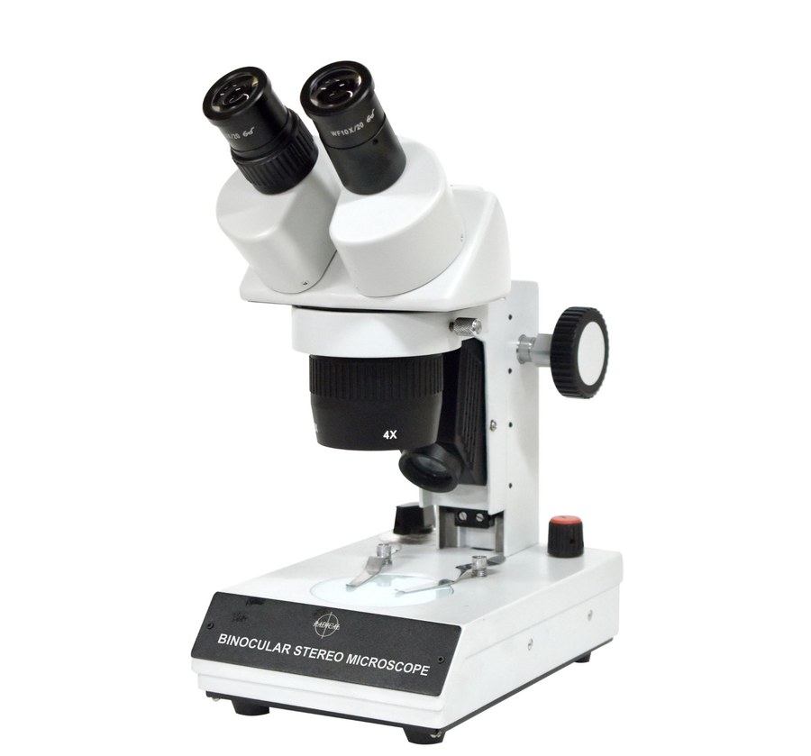 Stereo Microscope