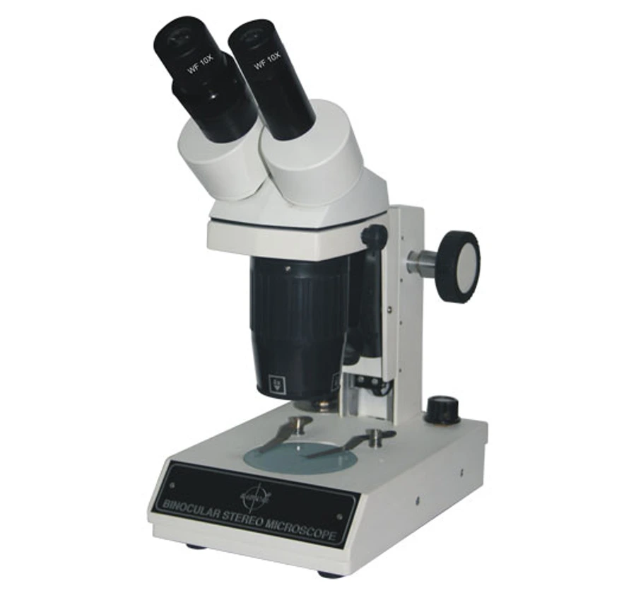 Stereo Microscope
