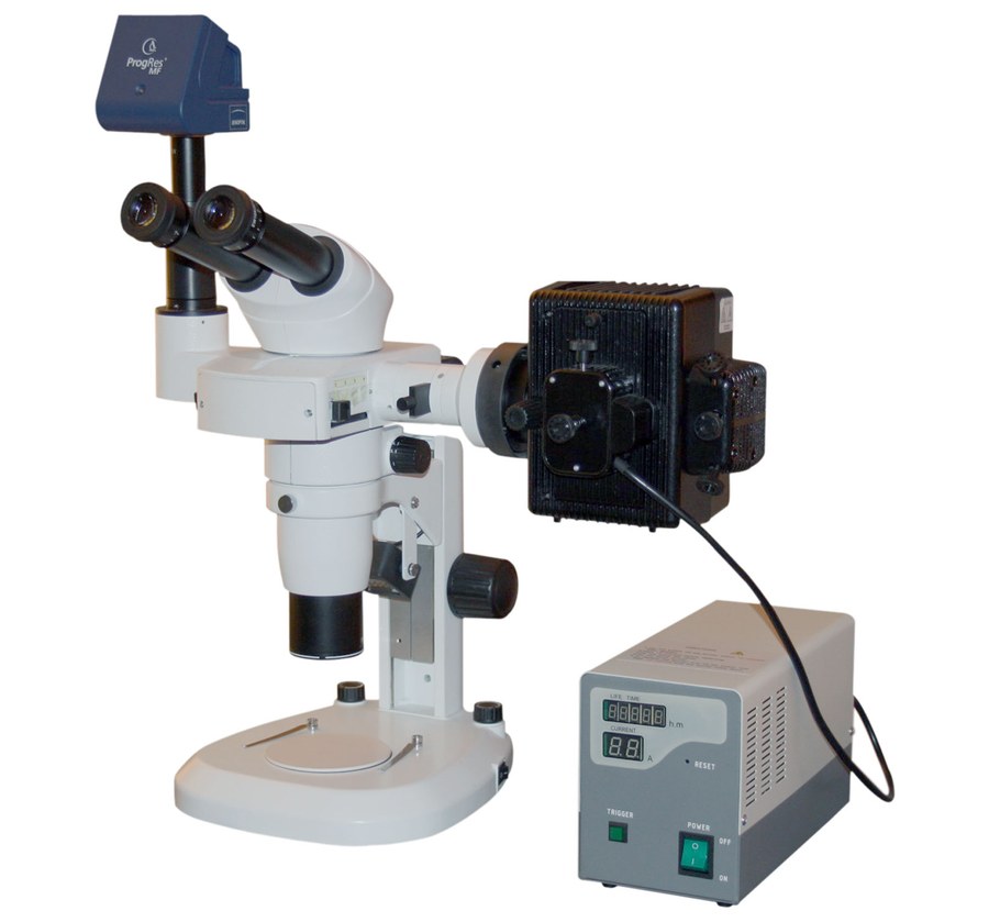 Advanced Stereo Zoom with Fluorescent Attachment