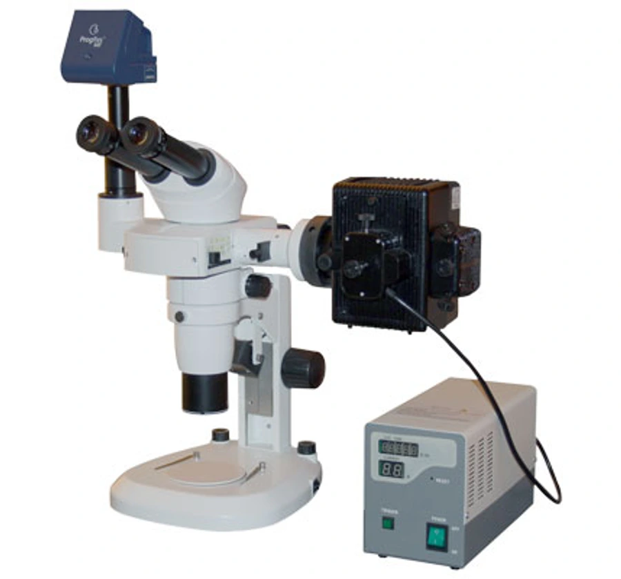 Advanced Stereo Zoom with Fluorescent Attachment