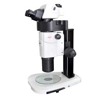 Research stereozoom microscope