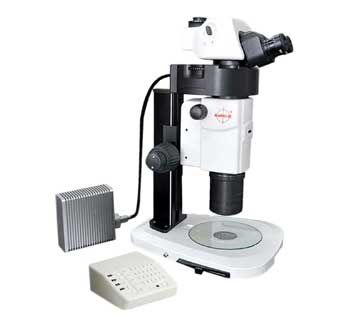 Research stereozoom microscope