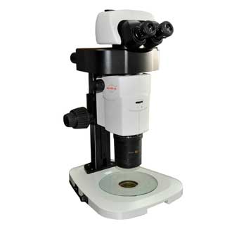 Research stereozoom microscope