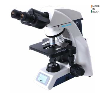 Upright Microscopes