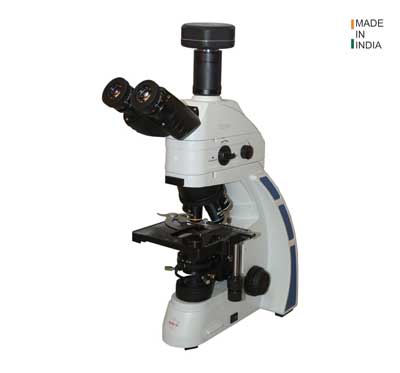 Upright Microscopes