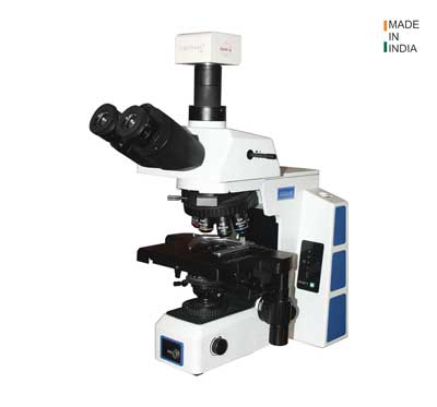 Upright Microscopes